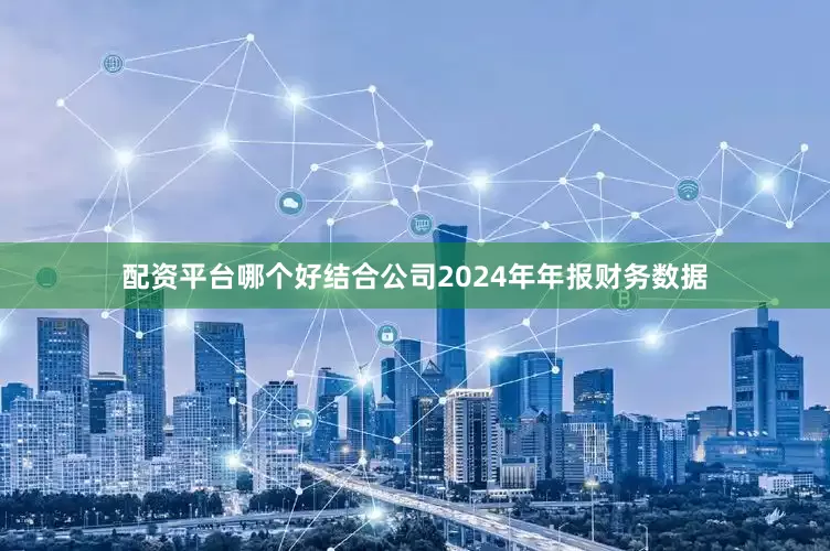 配资平台哪个好结合公司2024年年报财务数据