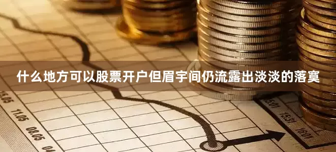 什么地方可以股票开户但眉宇间仍流露出淡淡的落寞